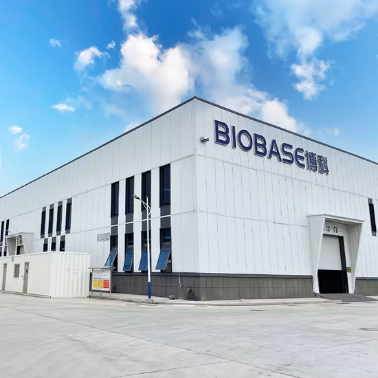 Biobase China Factory Laboratory Xw006 Zubehörausrüstung für Vortex-Mischer